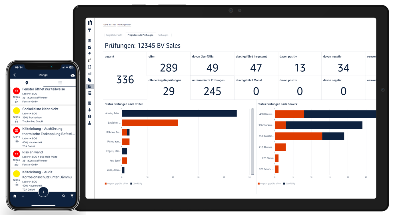 Projektcontrolling und Analyse